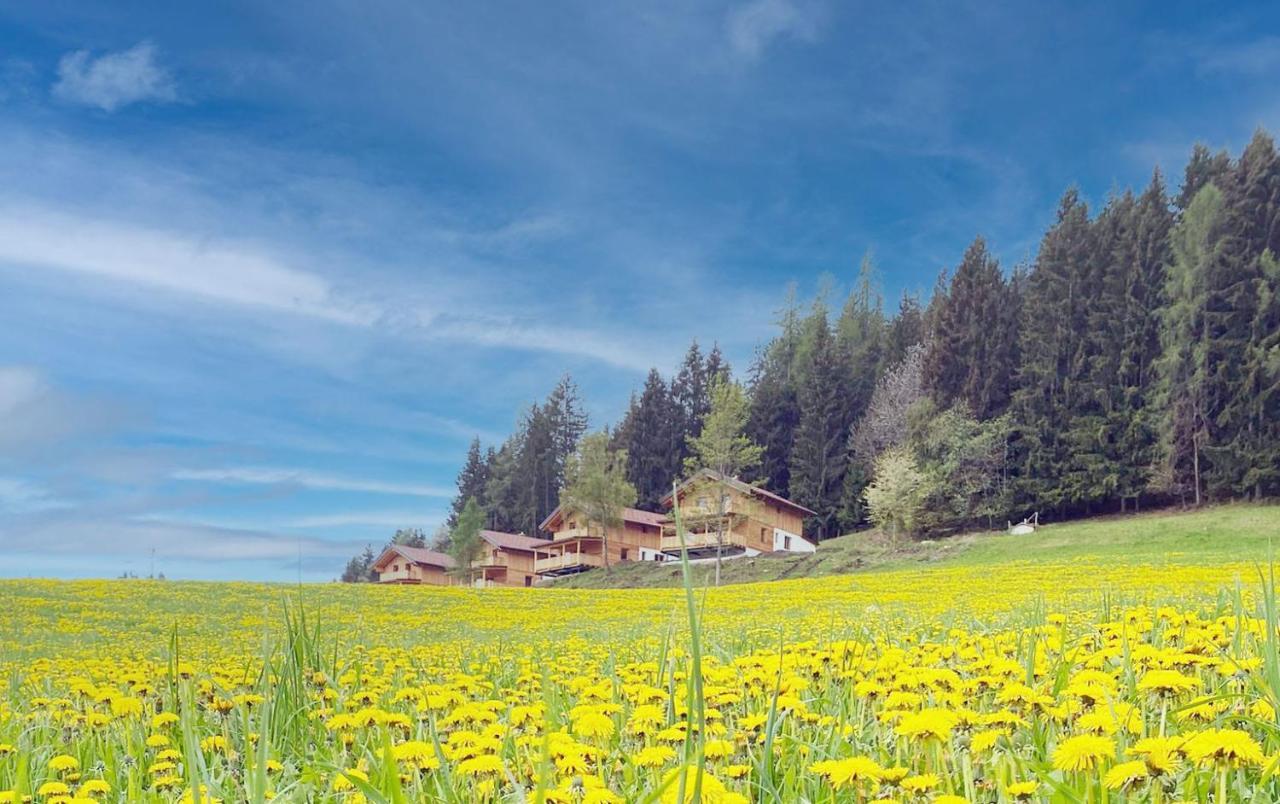 Hochleben-Chalets Am Erlebnisbauernhof Steinerhof Liebenfels Exterior photo